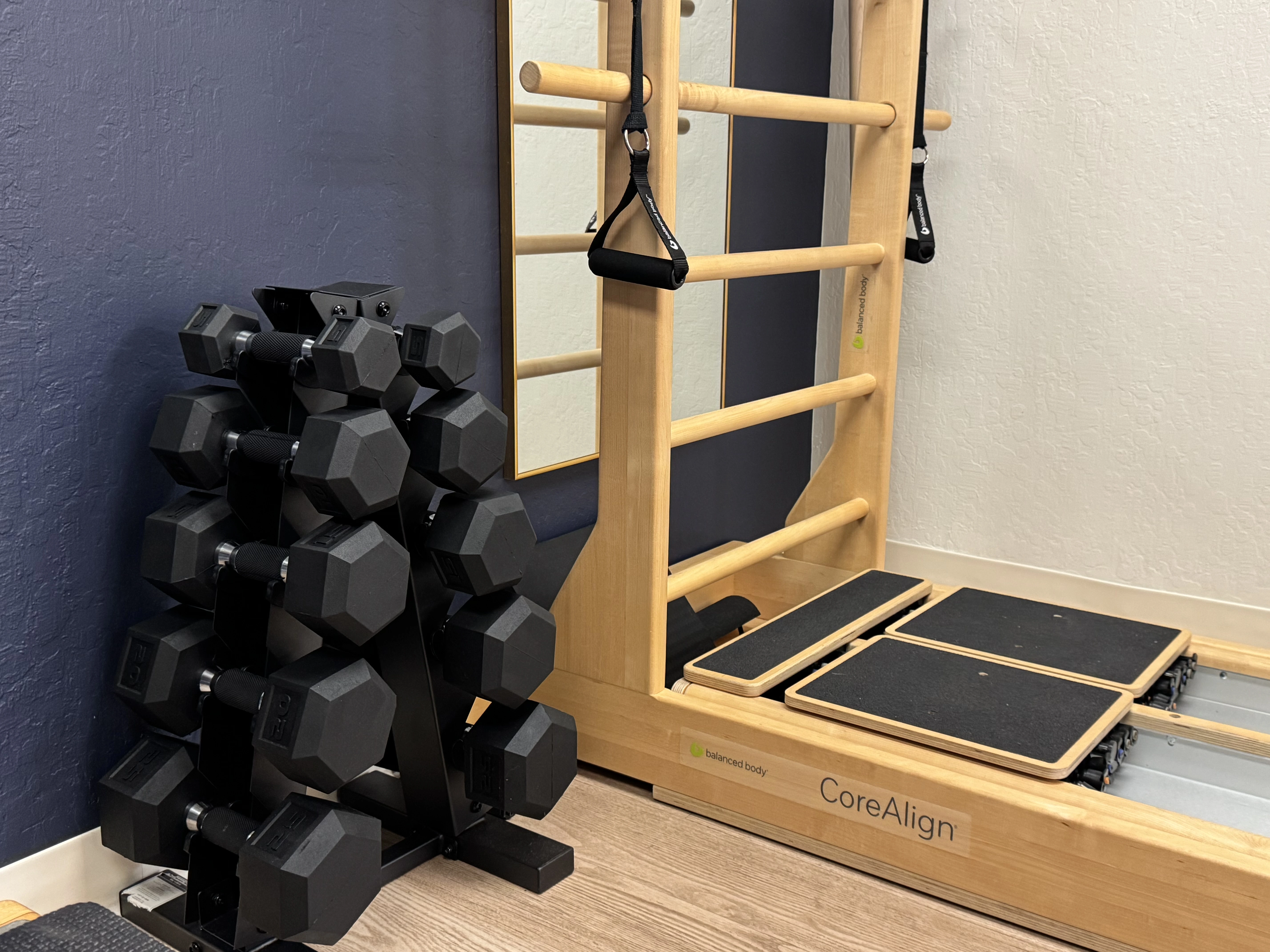 A calm studio with a mat, plant, and Pilates ball